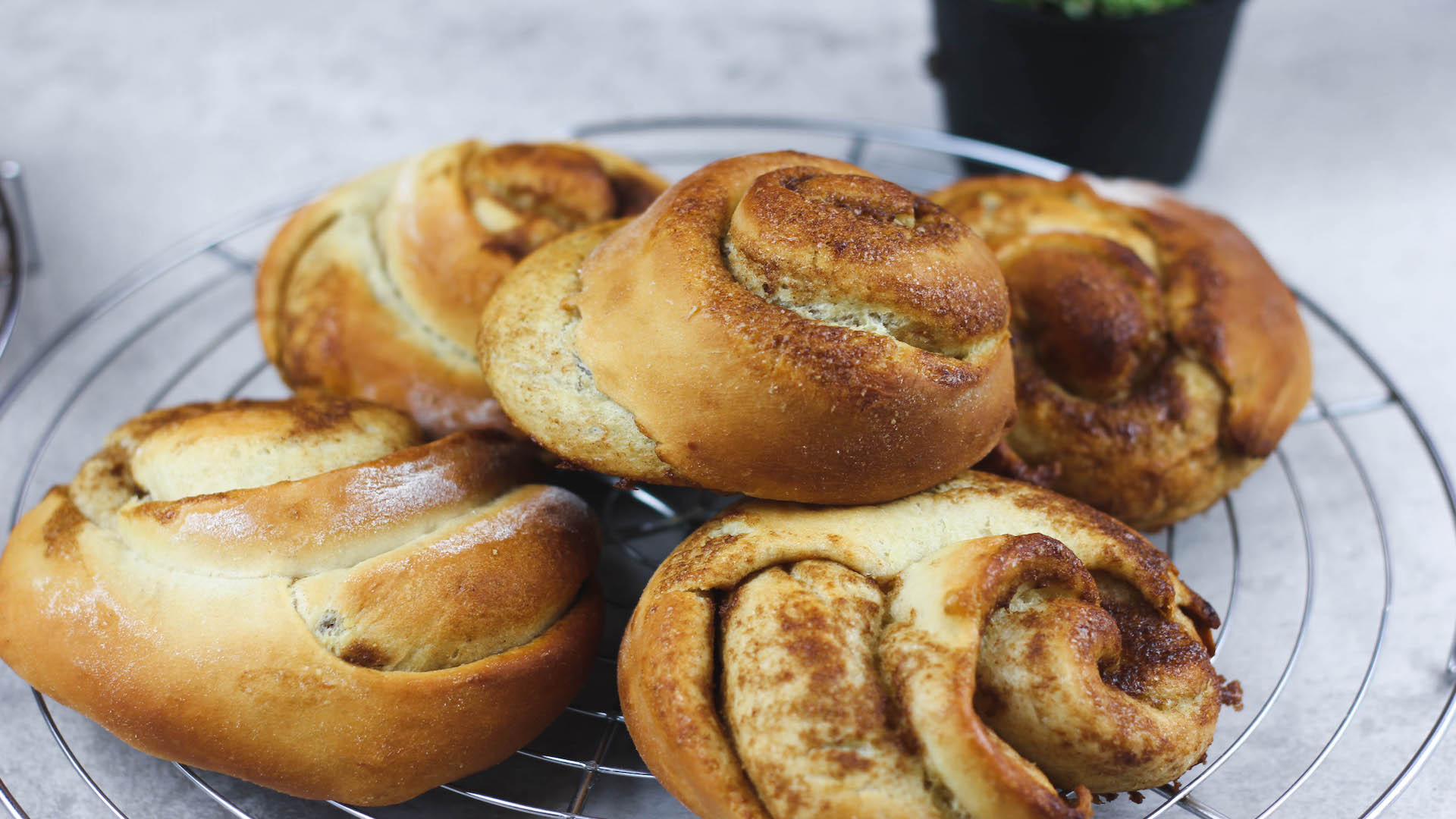 Zimtschnecken. 100% vegan Super lecker – HelloVegan.de Zimtschnecken. 100% vegan Super lecker – HelloVegan.de